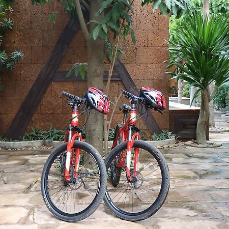 Damnak Villa Retreat Siem Reap Zewnętrze zdjęcie